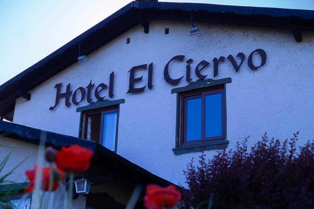 Hotel El Ciervo Villarrica Exterior foto