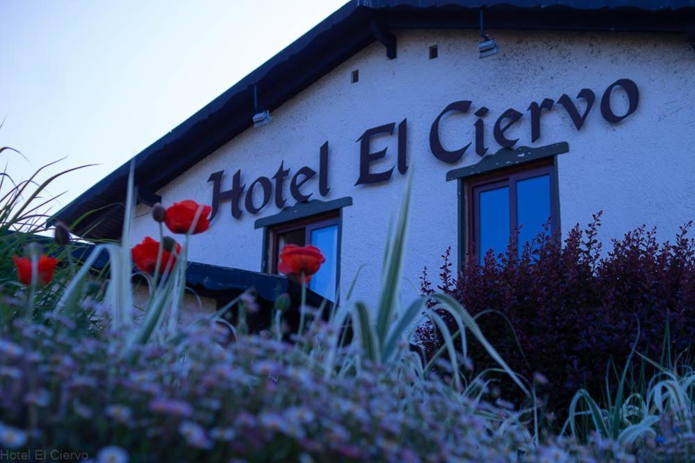 Hotel El Ciervo Villarrica Exterior foto